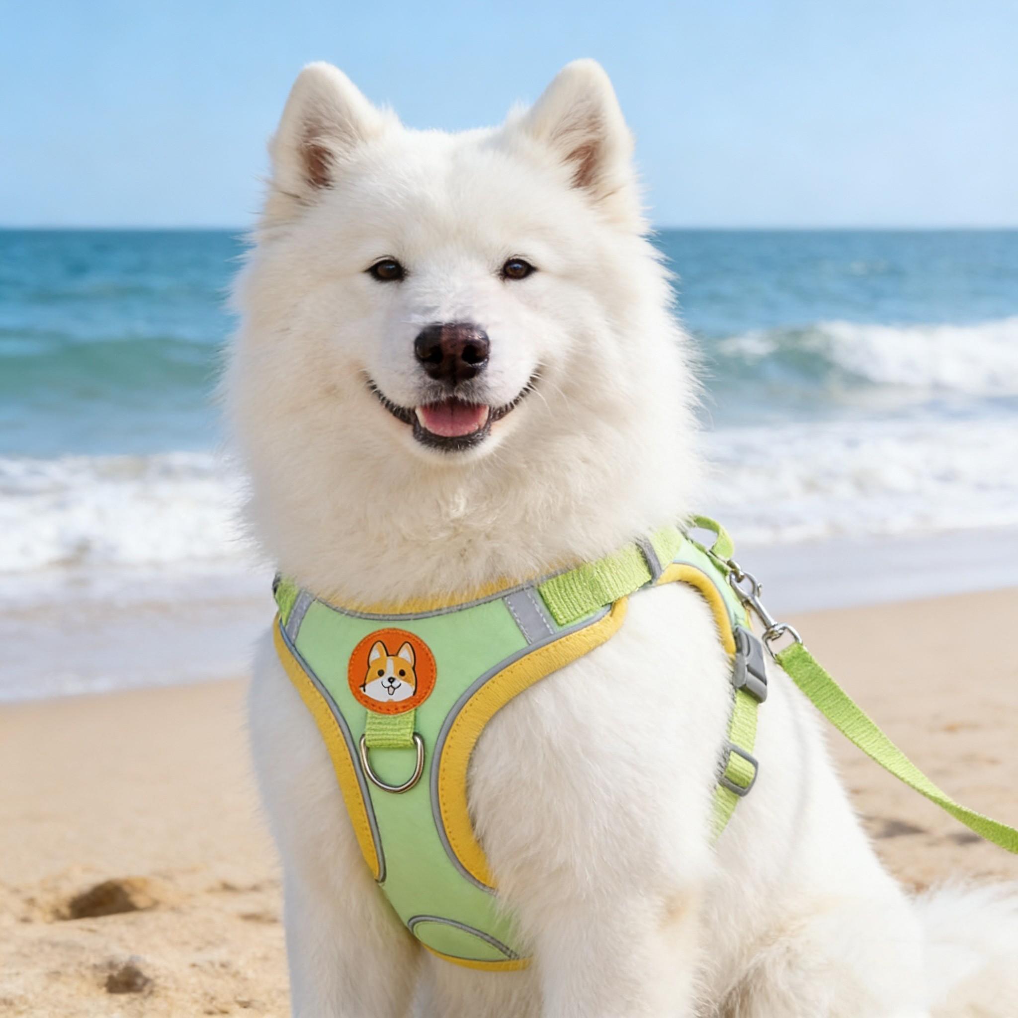 Reflective Pet Harness for Small Dogs, Comfortable Step-In Design, Night Safety Walks, No Pull Vest, Ideal for Evening Strolls