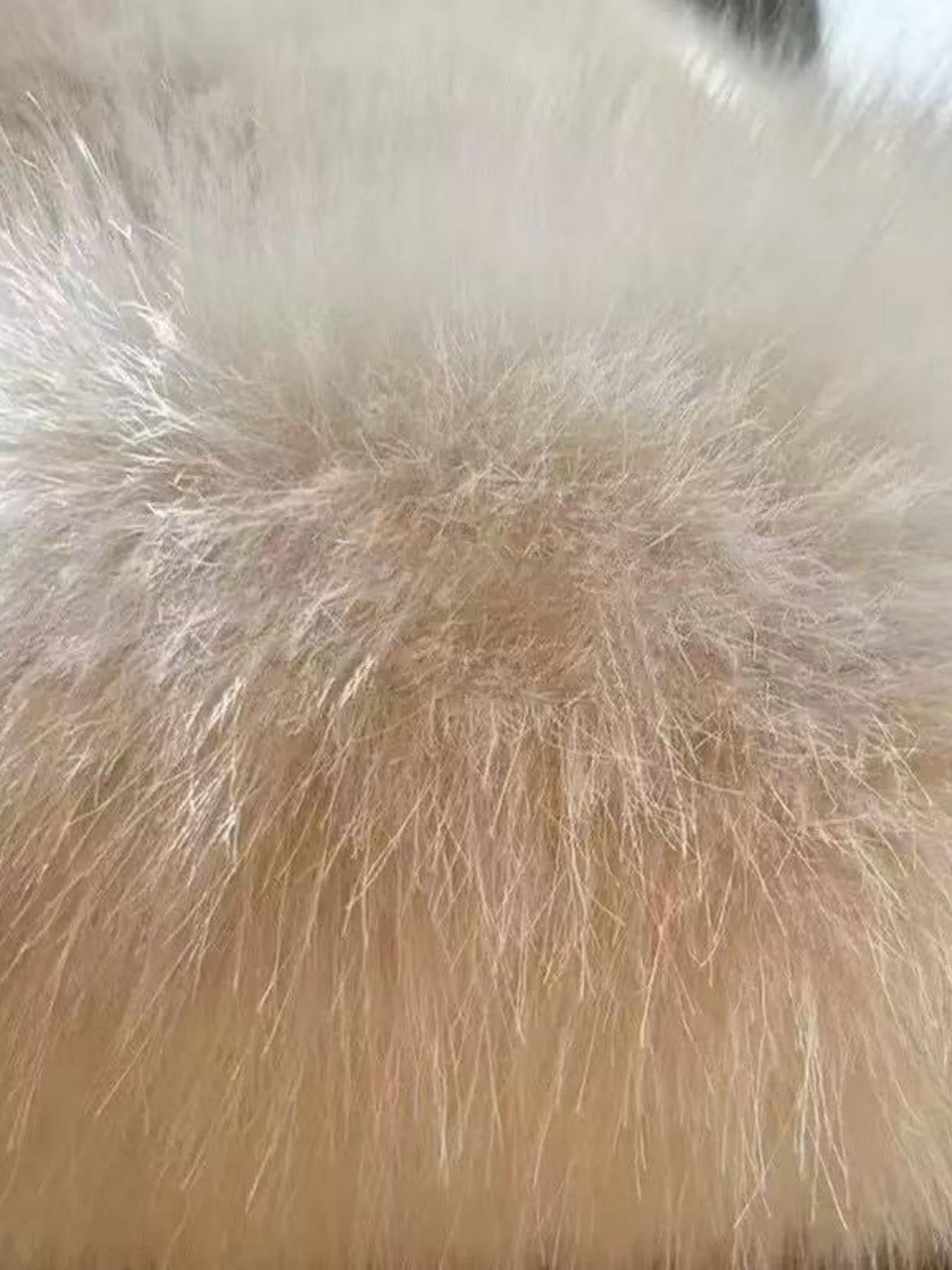 Large Women's Bucket Hat with Warm Earflaps, Fashionable Outdoor Cold Protection Accessory, Multi-purpose Stylish Headwear, Fashion Matching Hat