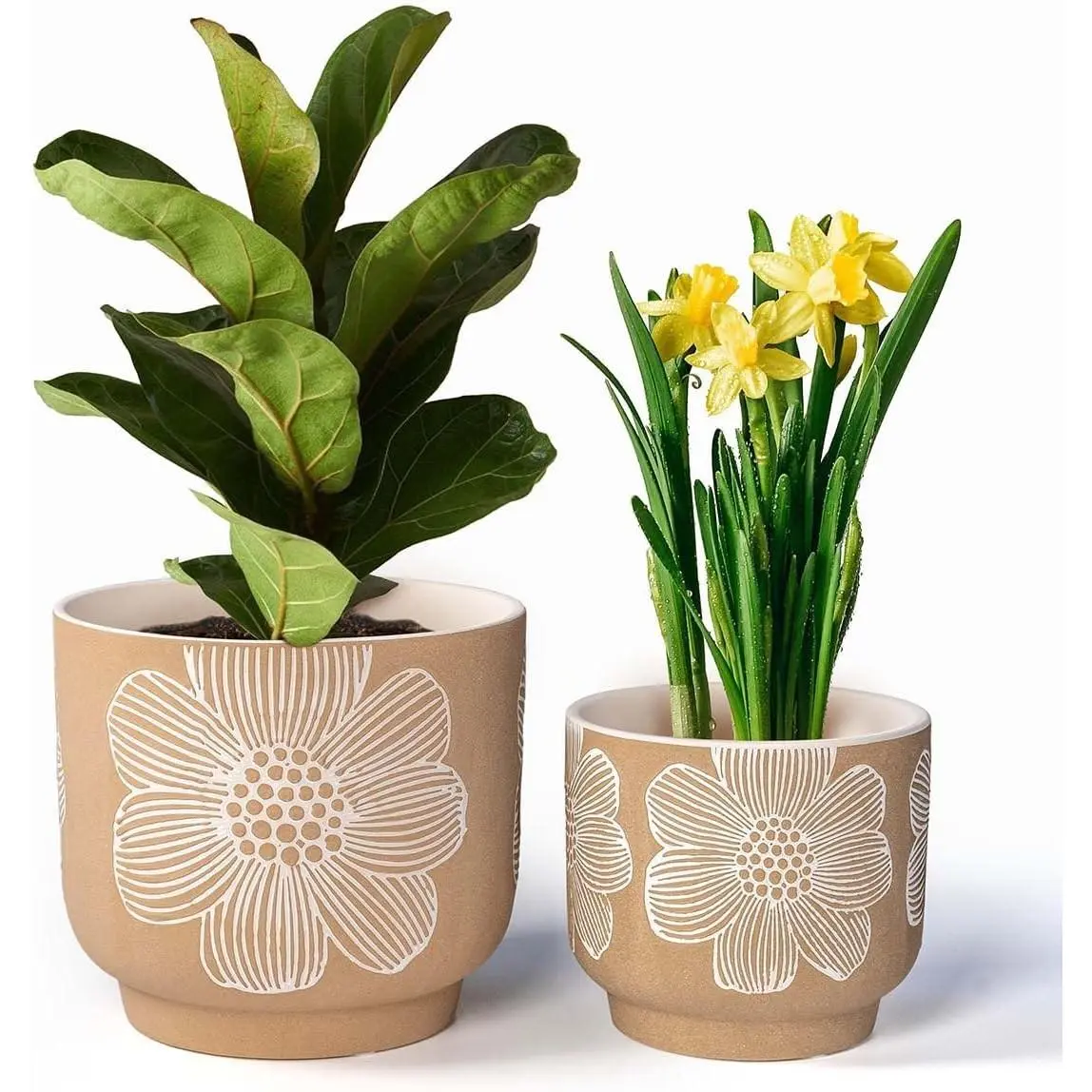 Modern Tan Floral