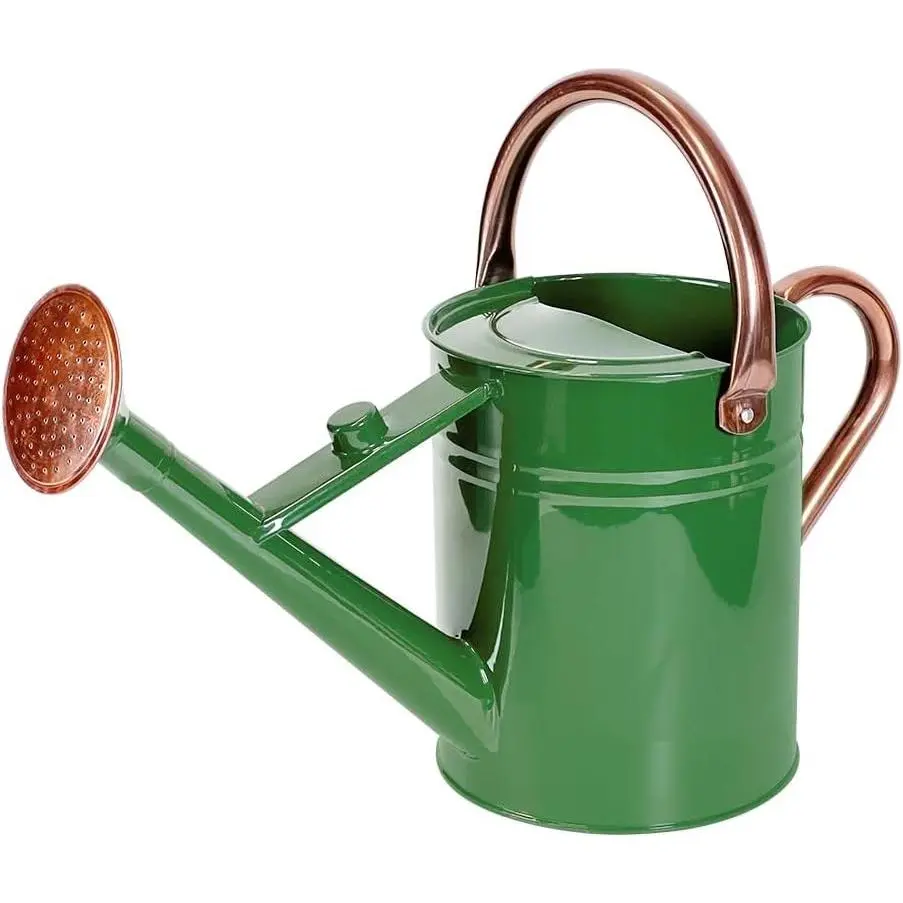 1 Gallon Metal Watering Can with Removable Spout, Nice Galvanized Steel Water Can for Indoor and Outdoor Plants (House Plants)