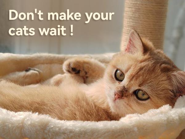 DWVO Tall Cat Tree for Indoor Cats, 75 inch Multi-Level Cat Tower with Cat Condos, Top Perches, Sisal Ramp Scratching Posts, Cozy Basket,Hammocks, Large Cat Pet Activity Structure