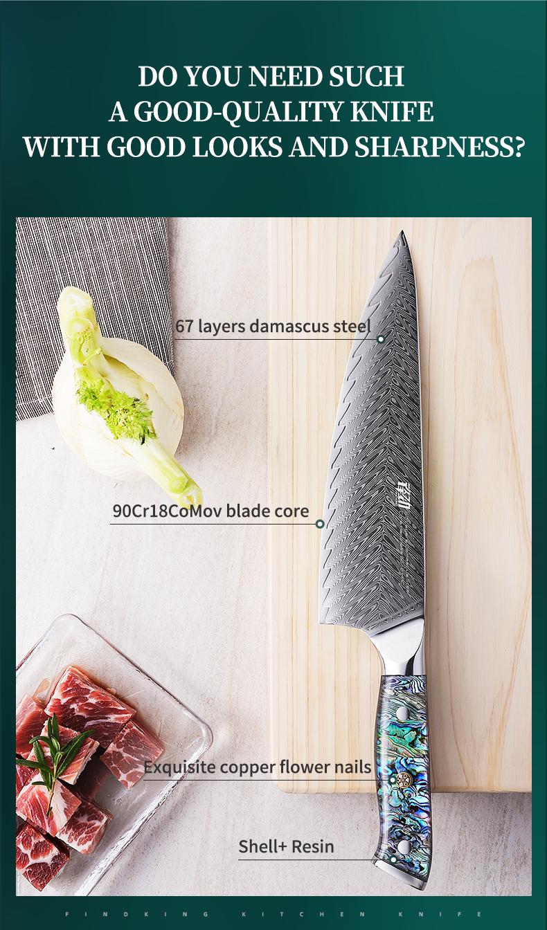 FINDKING 8 Inch Gyuto Chef Knife, Professional Japanese 67 Layers Damascus Steel Kitchen Knife, Resin Abalone Shell Handle, Razor Sharp Professional Meat Cutting Knife with Gift Box for Family, Restaurant, Cutting Vegetables, Meat and Fruits for Kitchen