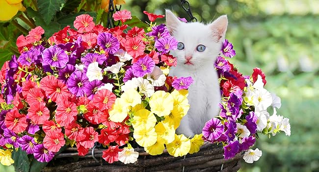 14 Bundles Artificial Flowers for Outdoors, Purple & Fuchsia fake plant