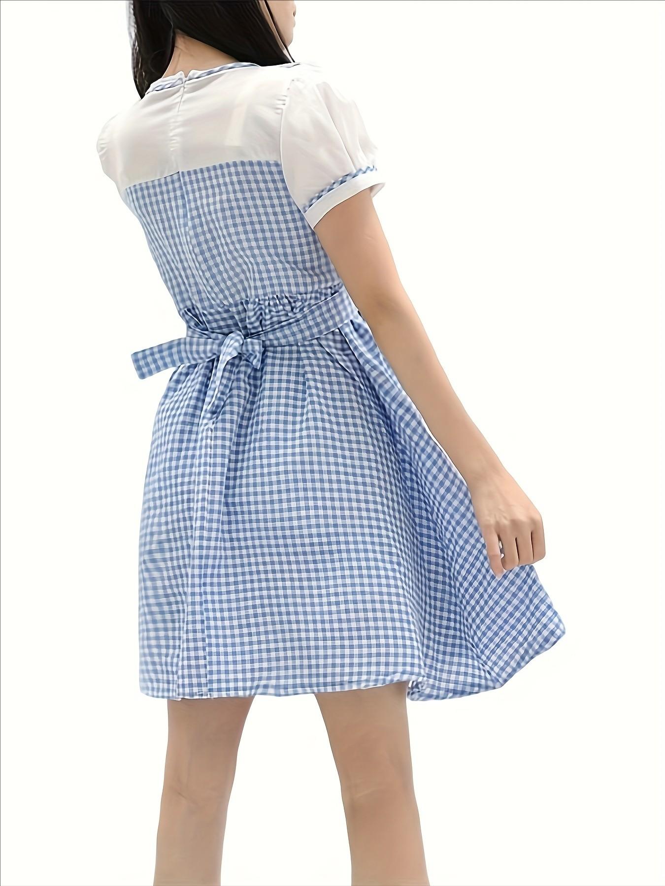 The Medieval Dorothy From The Wizard of Oz Costume Maid Girls Day Pastoral Character Shooting Costume