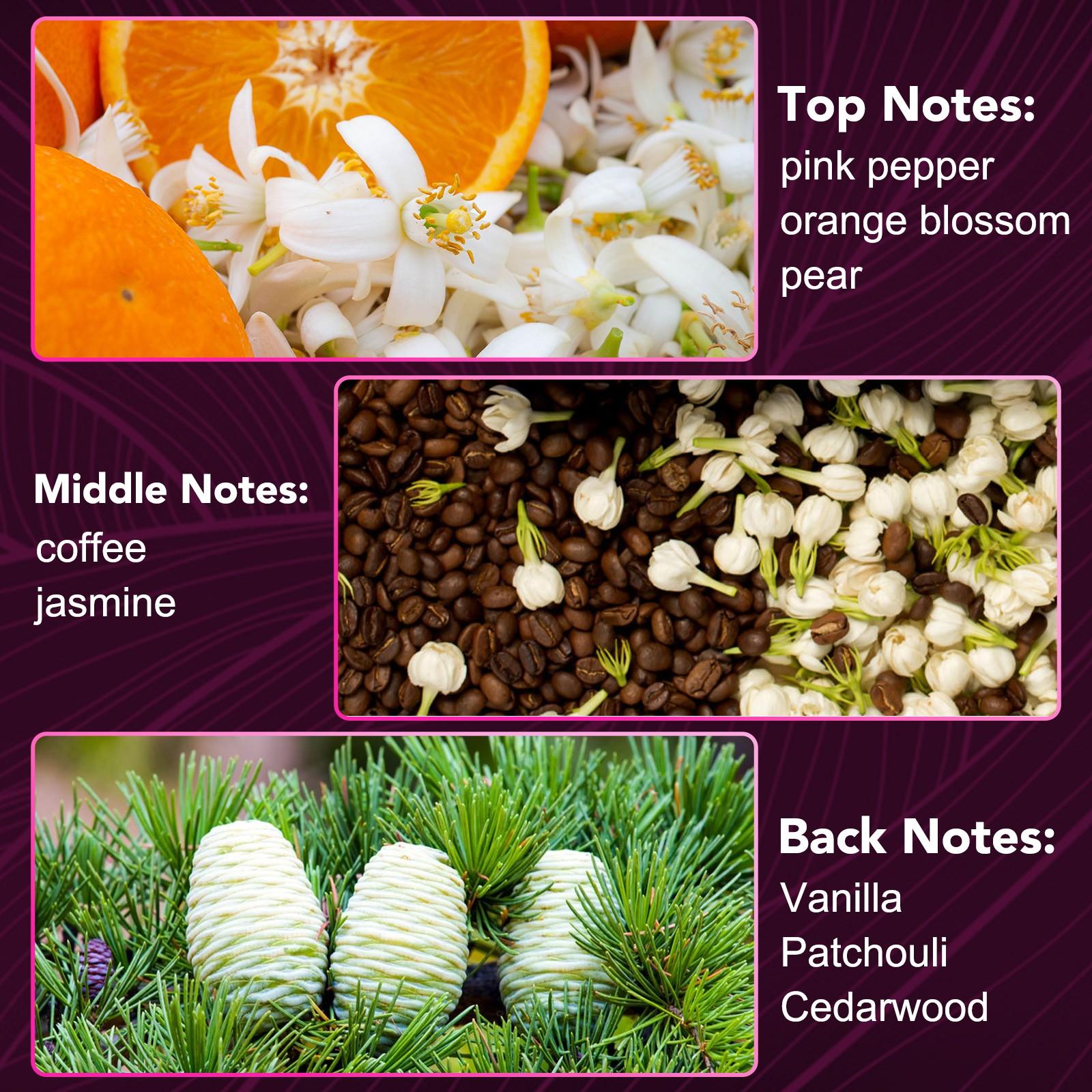 IKZEE perfume roller balls, women's perfume roller balls, elegant fragrance gifts, long-lasting fragrance, charming oriental scent, the perfect choice for her.