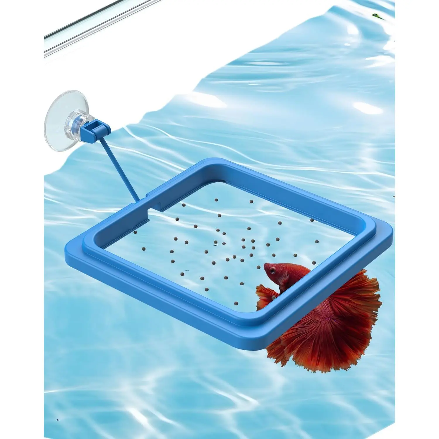 Aquarium Fish Feeding Ring with Suction Cup, Floating Food Feeder for Betta Fish, Goldfish, Guppies, Turtles and Other Aquatic Pets