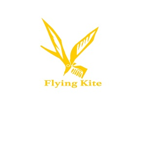 Flyn Kite