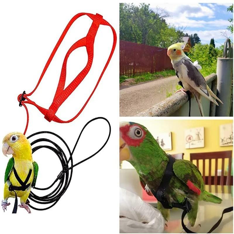 Pet Bird Release Rope, Phoenix Leash, Parrot Outdoor Training Harness, Bird Walking Backpack, Tiger Skin Kingfisher Peony Bird Small Animal Halter