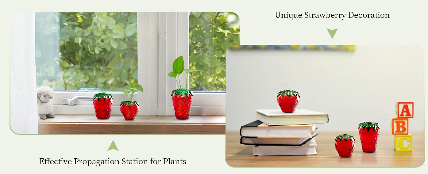 Cute Strawberry Vase for Flowers: Unique Plant Propagation for Home Kitchen Bathroom Office Housewarming Valentine's gift Galentine Party Centerpieces