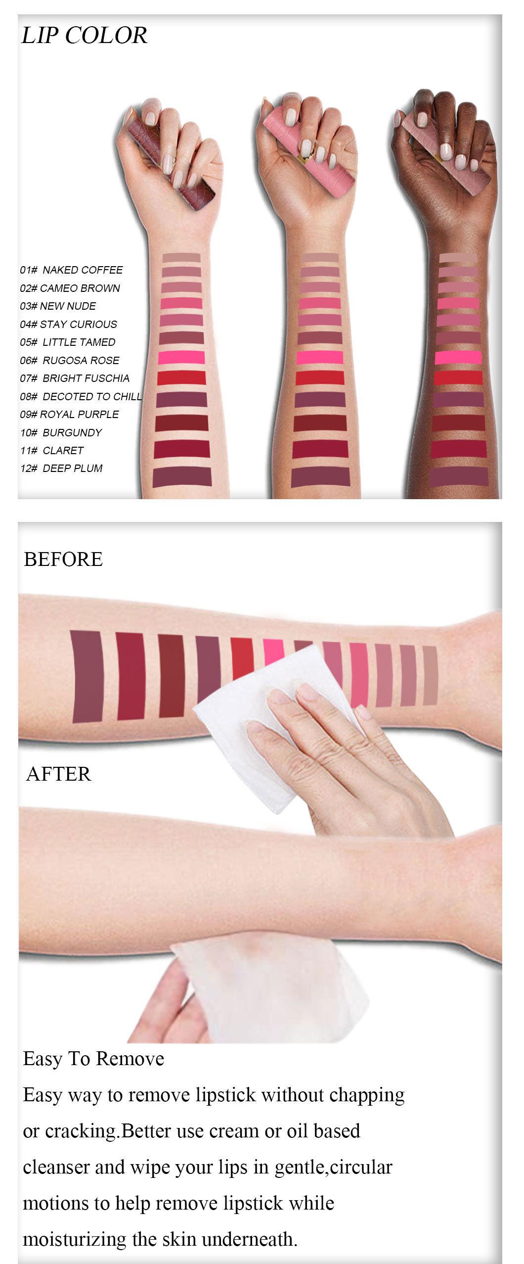 6 Pcs Vibrant Matte Lipstick Makeup Set Smooth Easy To Apply Long Lasting Coloring Moisturizer Full Color Lip Glossy Silky Cream Waterproof Cosmetic