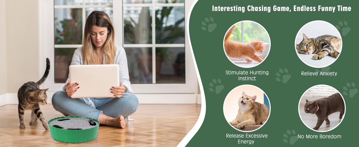 Pawaboo 4 Holes Whack-a-mole Electric Cat Toy, Interactive Cat Toy with Running Mouse, Pop and Play Hide Seek Cat Toy,Pet Supplies