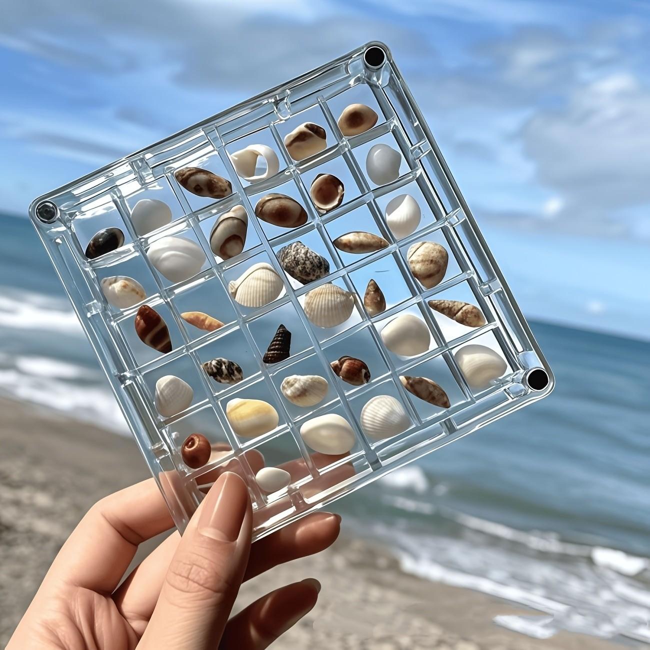 Square Acrylic Shell Storage Display Box, Transparent Specimen Showcase, 36-Grid Mini Shell Box, Magnetic Lid, High Transparency, Daily Collection