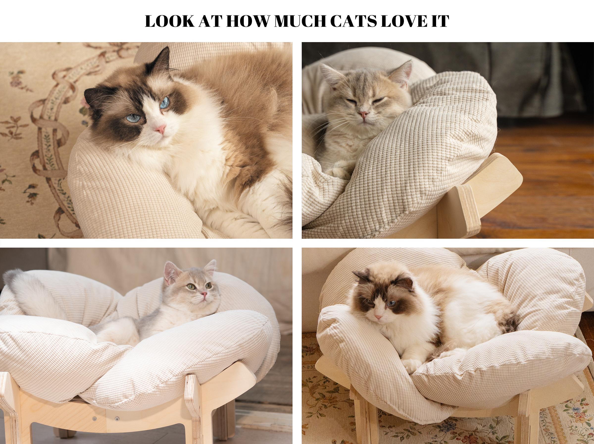 Elevated Flower Cat Bed,Wooden with Cushion, Fluffy Pet Couch Sofa for Indoor Cats and Dogs, Raised Kitty Lounge Chair, Suitable for Puppy, Cat Furniture(Large) Elevated Flower Cat Bed,Wooden with Cushion, Fluffy Pet Couch Sofa for Indoor Cats and Dogs, Raised Kitty Lounge Chair, Suitable for Puppy, Cat Furniture(Large)