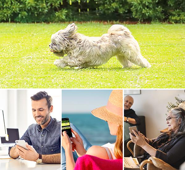 AOSU Solar Security Camera System Wireless Outdoor - No Subscription, 32GB Local Storage on Homebase, 2K, 166° Ultra-Wide View, Spotlight, Support 5G WiFi and Alexa & Google Assistant AOSU Solar Security Camera System Wireless Outdoor - No Subscription, 32GB Local Storage on Homebase, 2K, 166° Ultra-Wide View, Spotlight, Support 5G WiFi and Alexa & Google Assistant