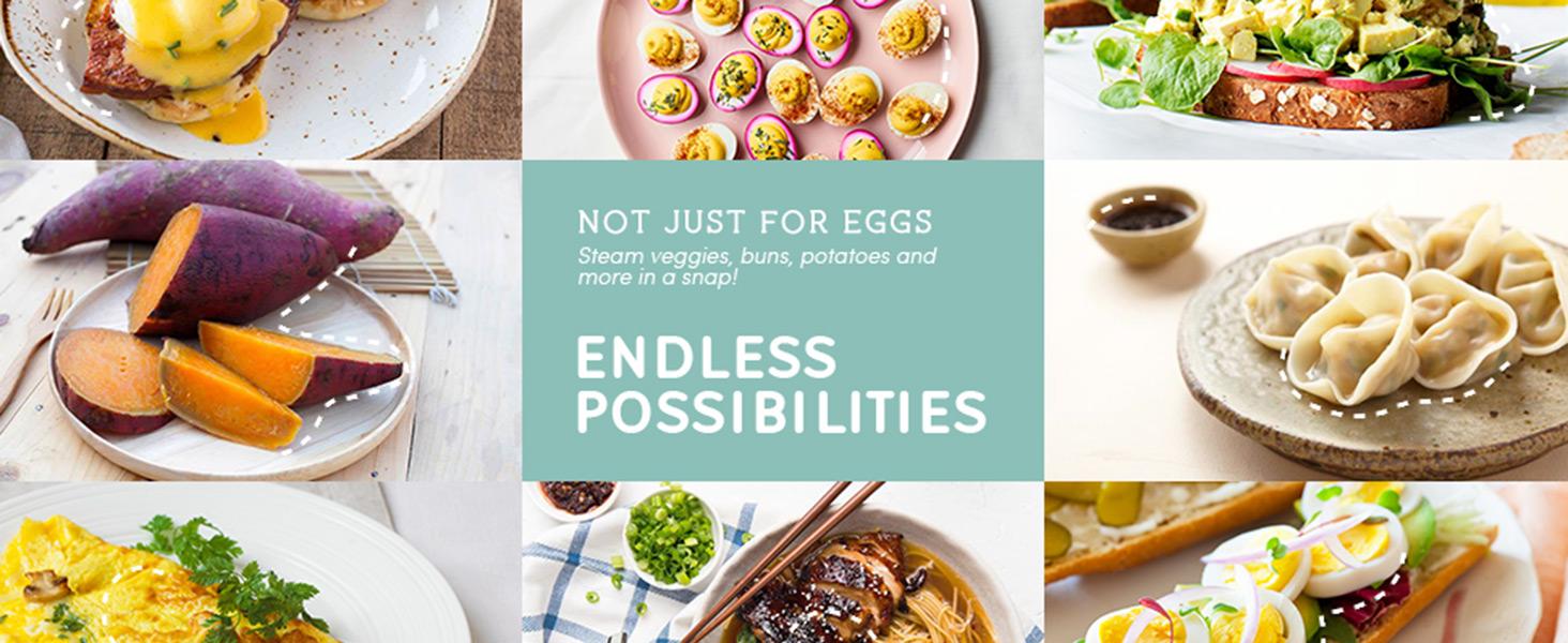 Rapid Egg Cooker, 7 Easy-To-Peel, Hard, Medium, Soft Boiled Eggs, Poacher, Omelet Maker, Auto Shut-Off, Alarm, 16-Recipe Booklet, White Rapid Egg Cooker, 7 Easy-To-Peel, Hard, Medium, Soft Boiled Eggs, Poacher, Omelet Maker, Auto Shut-Off, Alarm, 16-Recipe Booklet, White