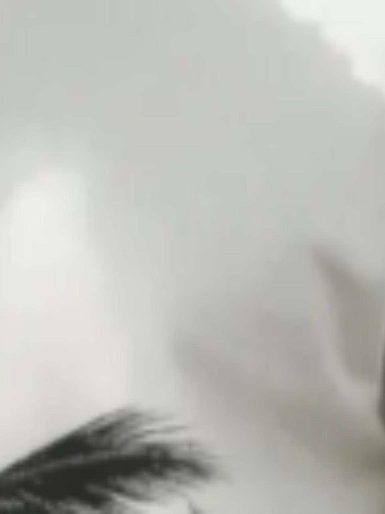 Men's Summer Casual 3D Coconut Tree Set, Lightweight Polyester, Round Neck, Short Sleeve Shorts, Dynamic Color Design