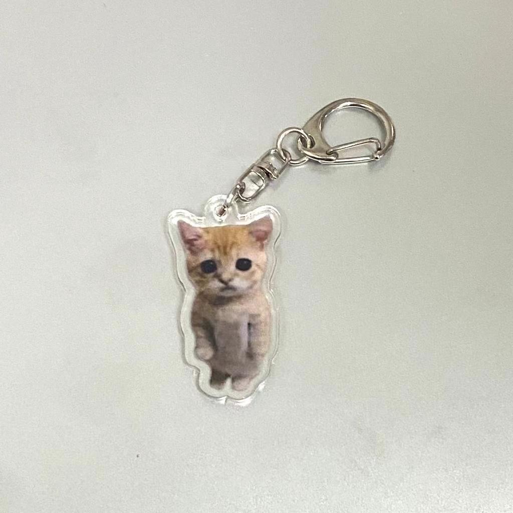 Banana Cat Acrylic Keychain, Funny Cat Bag Charm, Unique Accessory for Bags and Keys, Perfect Gift Idea, Durable and Stylish Design