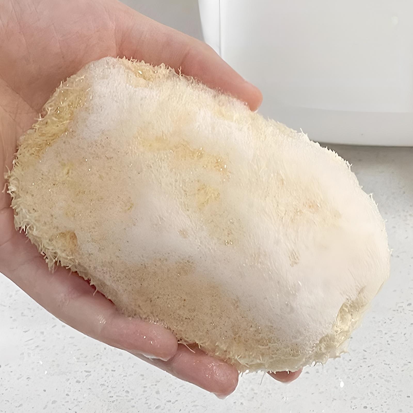 Natural Loofah Sponge Scrubber Brush for Kitchen Cleaning, Durable & Eco-Friendly, Perfect for Washing Pots & Bowls