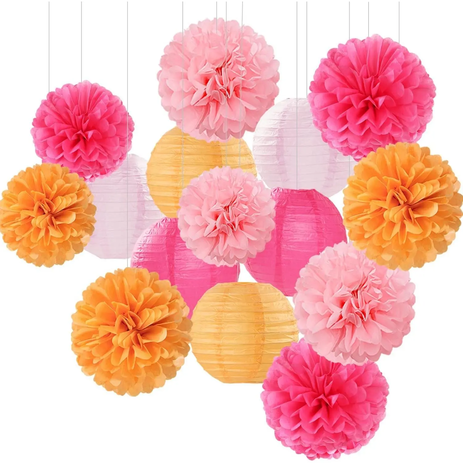 Light Pink Light Orange Rose