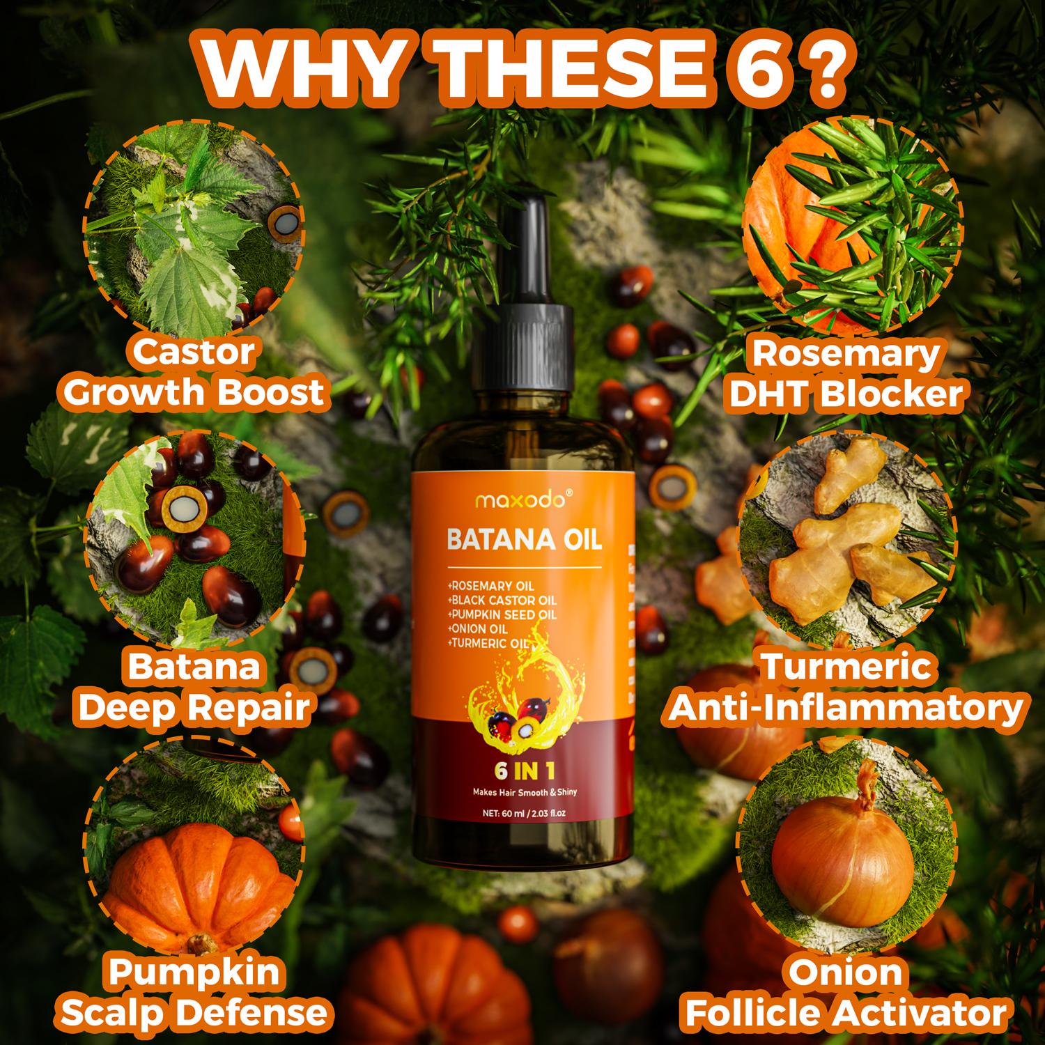 Maxodo Six in One Long Essential Oil - 100% Pure Rosemary Castor Pumpkin Seed & Batana Oils for Scalp Hair Health Moisturizing Vegan Organic Haircare Plant Conditioner Daily Jojoba Repair Moisture Cleansing Storage Turmeric Repairing Christmas Gifts Nouri