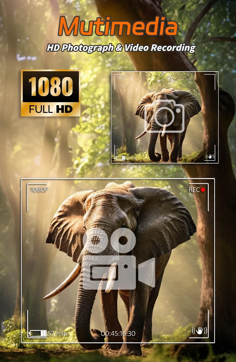 1080P Hunting Camera, Waterproof Night Vision Mini Spy Camera, Outdoor Wildlife Monitoring, Includes 32GB SD Card, Optional