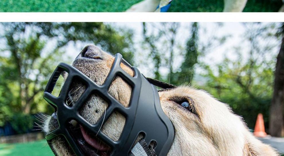 2026 Dog Muzzle to Prevent Eating and Barking, Anti-Barking Device for Small, Medium, and Large Dogs, Pet Anti-Barking Mouth Cover