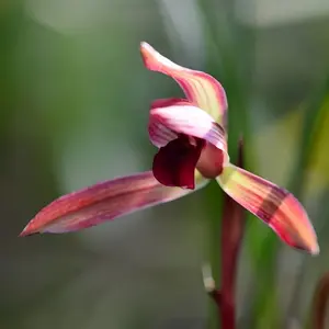 Crafty Kidz Crafty Kidz