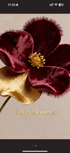 AA.Velvet Bloom15