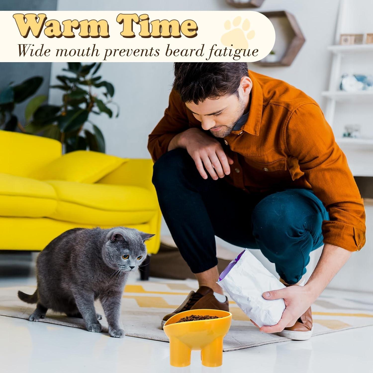 Pet Bowl Cat Dish, Large Water Bowl, Anti-Spill High Footed Bowl, Prevents Vomiting, Indoor Pet Food & Water Set, Blue