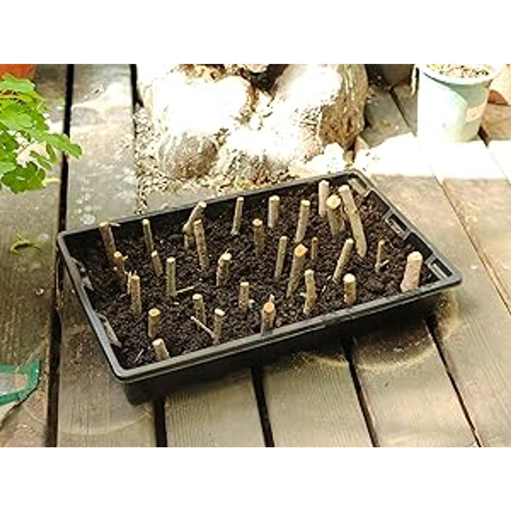 10 Pack Seed Trays, Reusable Plant Grow Trays, Ideal for Seed Starting, Microgreens, Indoor Gardening, and Greenhouse Nurseries - No Drain Holes, 14.5"x9"
