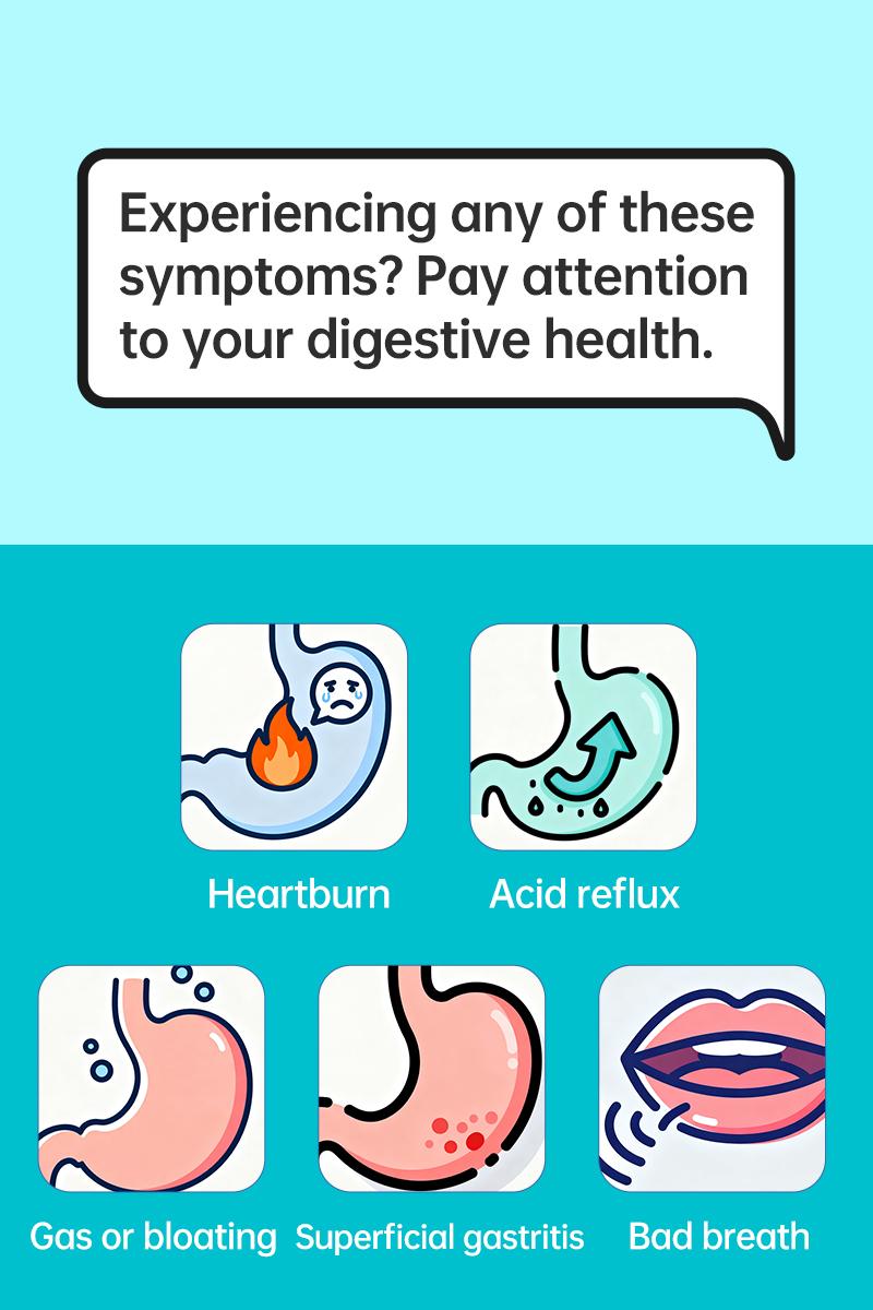 Purmeo 5-in-1 Targeted Balance Stomach & H.Pylori Dietary Probiotics Supplement - Vegan, 20B Cells, Daily Gut Health, Gastric Support, Digestive Comfort, Stomach Lining, Pylopass Lactobacillus reuteri DSM 17648, Healthcare Purmeo 5-in-1 Targeted Balance Stomach & H.Pylori Dietary Probiotics Supplement - Vegan, 20B Cells, Daily Gut Health, Gastric Support, Digestive Comfort, Stomach Lining, Pylopass Lactobacillus reuteri DSM 17648, Healthcare