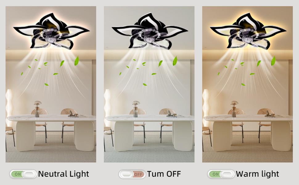 Ceiling Fans with Lights Remote Control, 27" Black, 6 Speeds 3 Light Color Lighting Low Profile Flush Mount Modern Ceiling Fan for Kitchen Bedroom