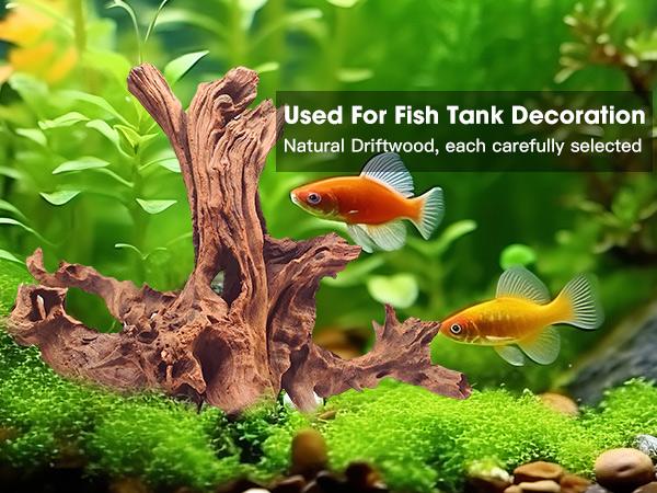 Large Coral Driftwood for Aquarium Decor Fish Tank Decorations Reptile Decor, Assorted Driftwood Branch 13 to 17 Inch Pack of 1