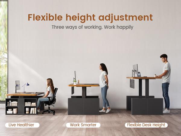 SEDETA 63 Inch Executive Standing Desk Electric Height Adjustable Computer Office Desk with Storage Shelves Power Outlets Privacy Panel