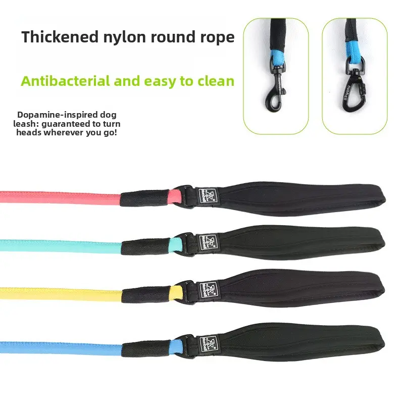 Nunbell Dog Leash - Blue, 1.2 x 150 cm, Carabiner Clip