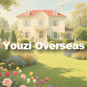 YOUZI OVERSEAS