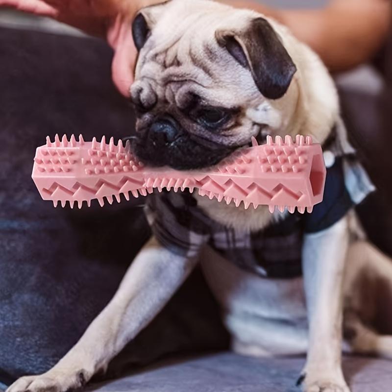 Dog Toothbrush Toy: Soft Rubber Molar Stick | Interactive Cleaning & Chewing for Small Breeds