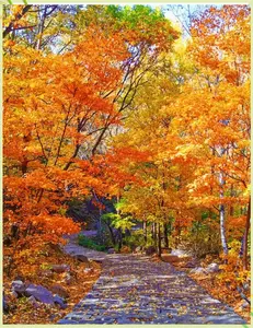 background preload poster image 