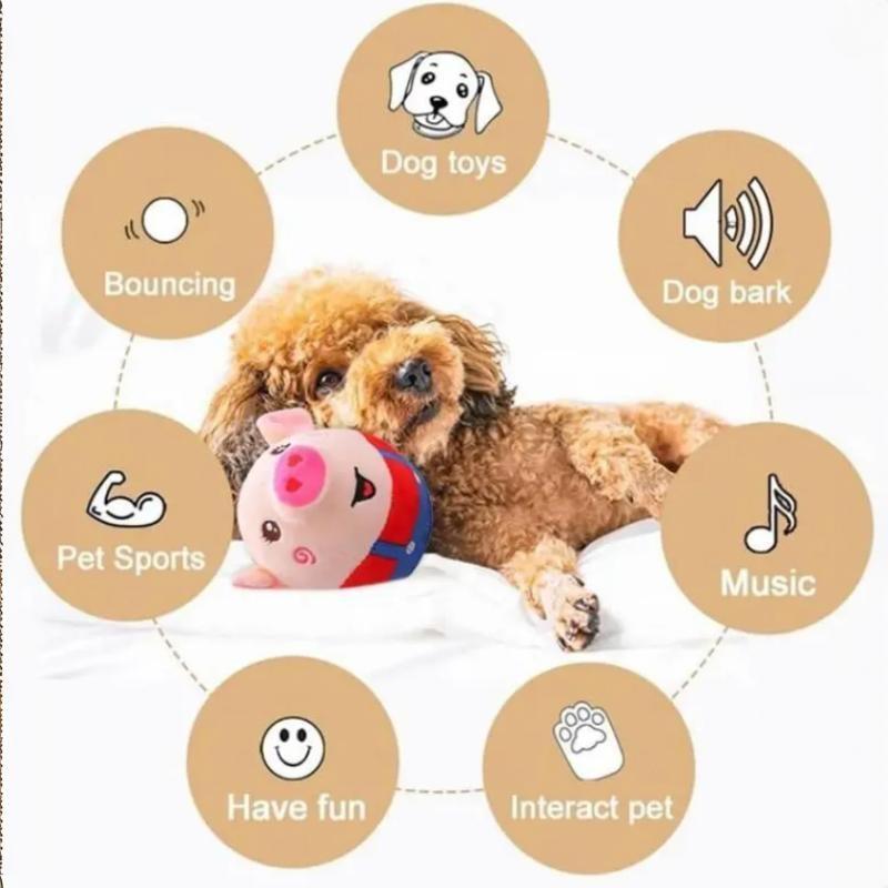 Wait Till You See This Pig Toy Bounce & Sing for Your Dog!