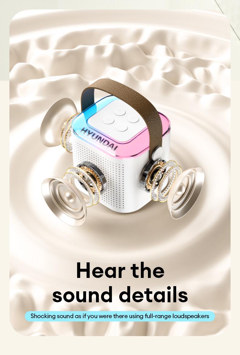 HYUNDAI S13 Portable Wireless Karaoke Bluetooth Speaker With Microphone HIFI Stereo Sound Subwoofers, KTV Speaker Subwoofer With Lighting Effect