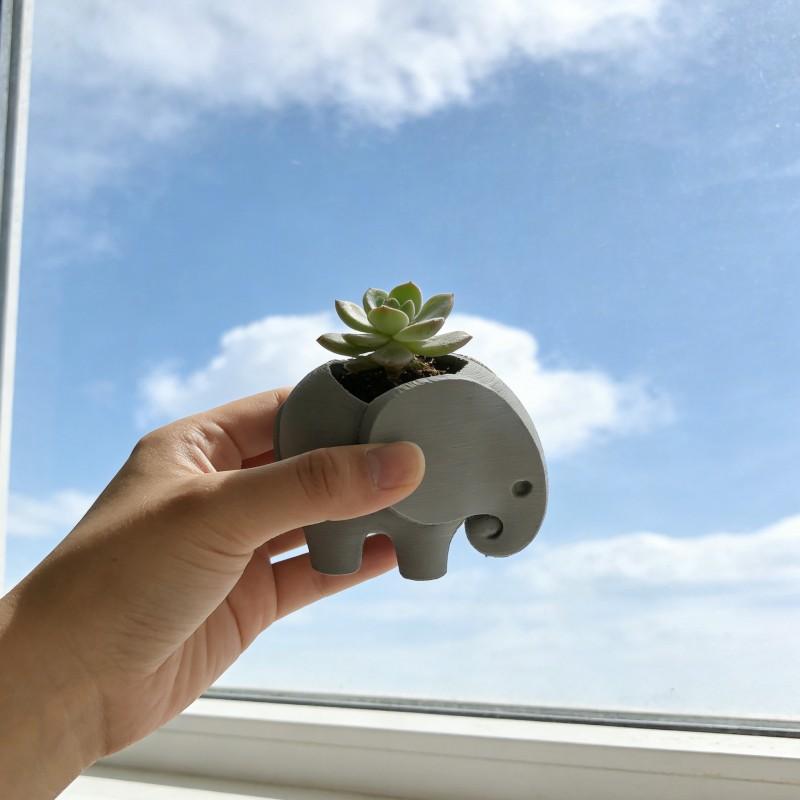 Mini Elephant Succulent Planter with Drainage Hole, 3D Printed Small Cactus Pot, Indoor Outdoor Decor, Durable Plastic, Gift Idea
