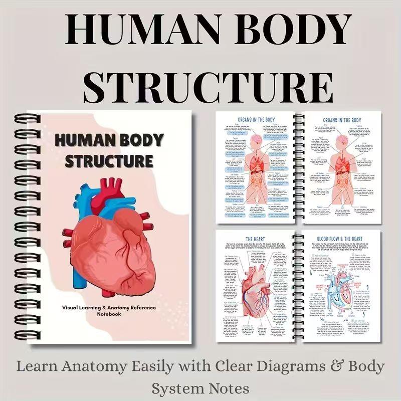 Human Anatomy Visualization Learning Notebook, Clear Anatomical Diagrams, System Notes Section, Ideal for Studying and Reviewing