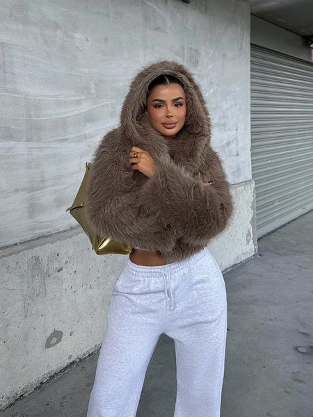 Women's Casual Fashion Hooded Faux Fur Coat, Thick Woven Fabric Outerwear, Warm Short Winter Jacket, New Arrival