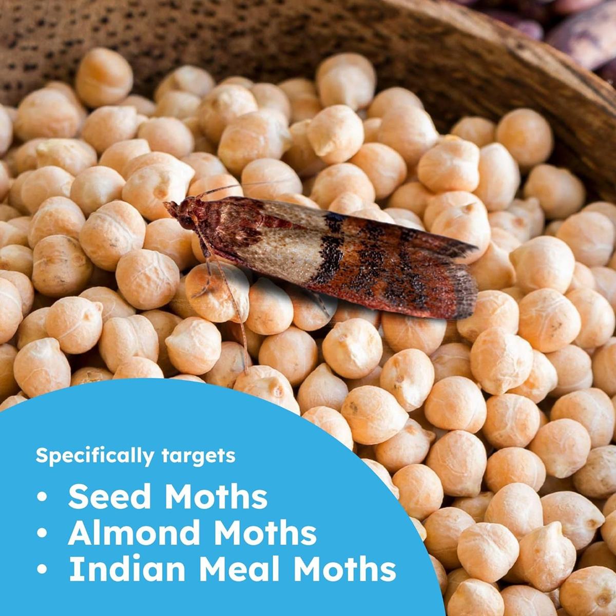 5-Pack Clothes & Carpet Moth Monitoring Traps Pheromone Sticky Moth Traps Set, Non-Toxic Glue Trap, Efficient for Closet Textile Moths & Food Storage Cupboard Moths for Wardrobe | Premium Moth Monitoring Catchers Indoors Moth Traps