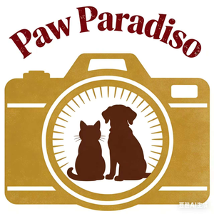 Paw Paradiso