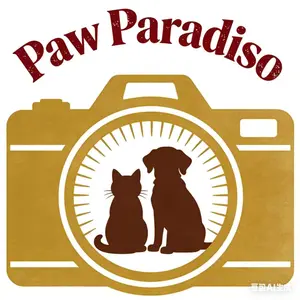 background preload poster image 
