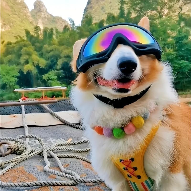 Adjustable Dog Goggles for Medium to Large Dogs, Outdoor Travel Eye Protection, Comfortable Pet Eyewear for Safe Adventures