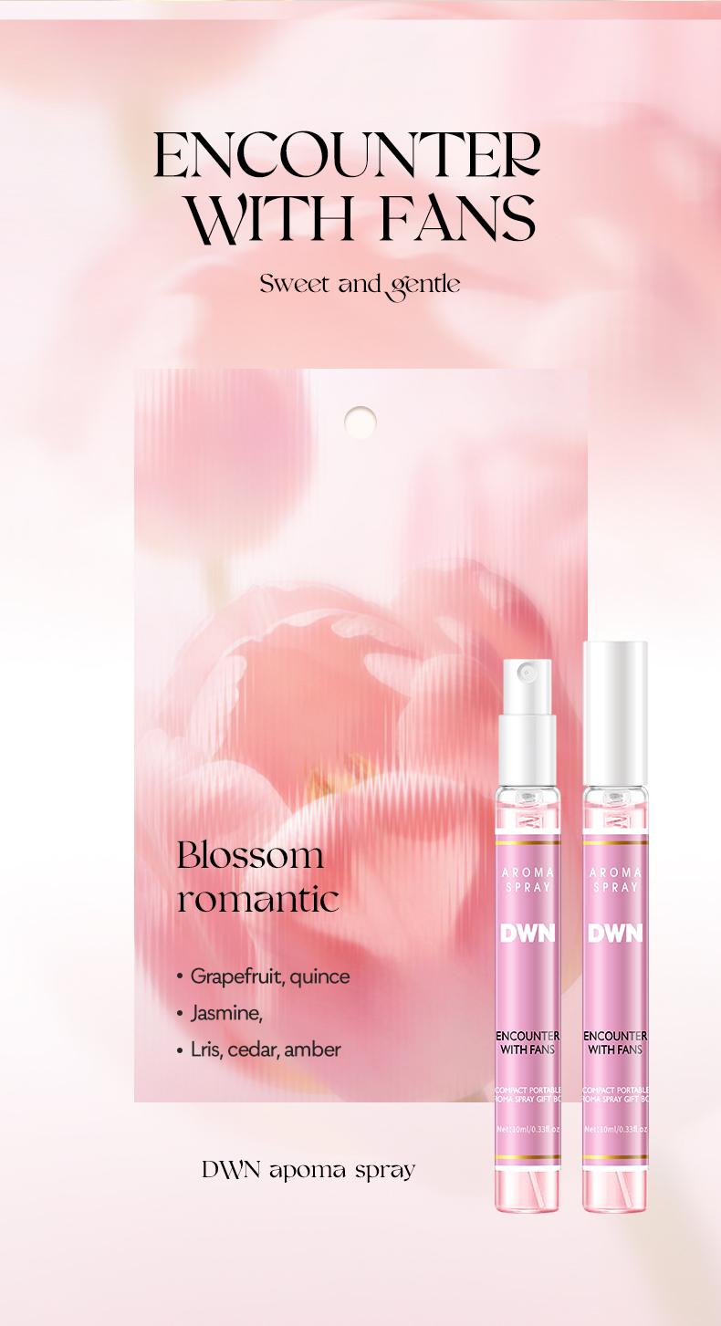 High-End Secret Perfume Set 10 X 10ML, Luxury Fragrances, Perfect Gift for Perfume Lovers, Perfume Sampler Set for Beginners