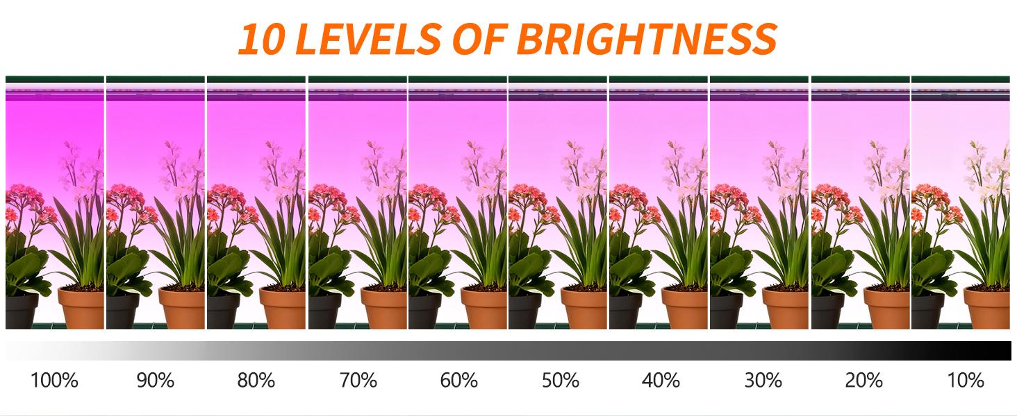 Lilypelle Indoor Mini Greenhouse with Grow Lights, 4/5 Tier Plant Shelf with Zippered PVC Cover, Seed Starting Rack with 3 Light Modes, 10 Brightness Levels & Timer Function