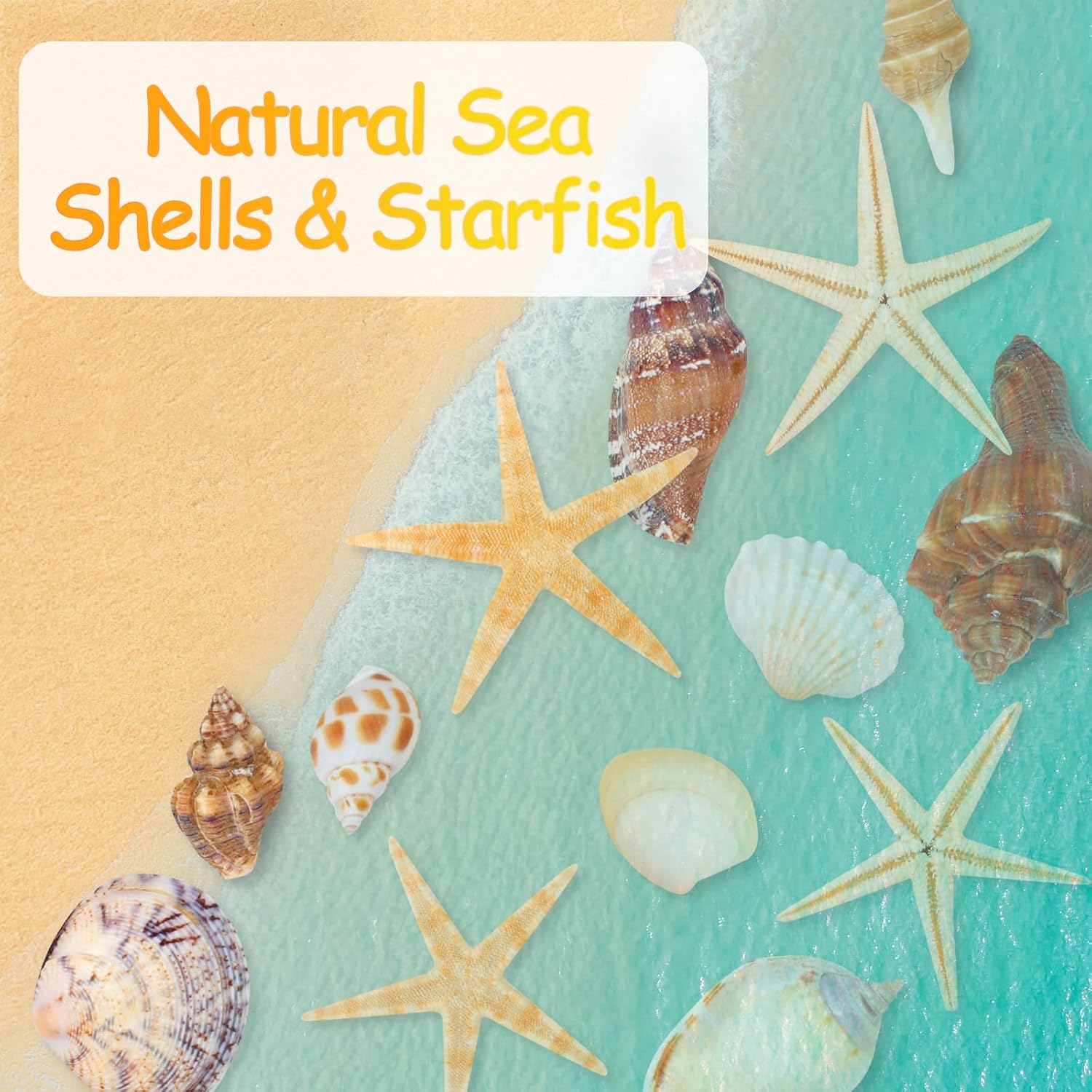 80+ Pcs  Seashells,  Starfish Sea Shells for Crafts, Various Sizes  Shells Conch for Decorating, Beach Theme Party, DIY Crafts, Fish  Filling,  Decor, Wedding Decoration